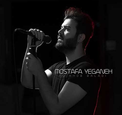 دانلود آهنگ مصطفی یگانه تو خوب بلدی