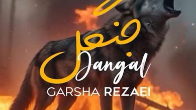 آهنگ گرشا رضایی جنگل