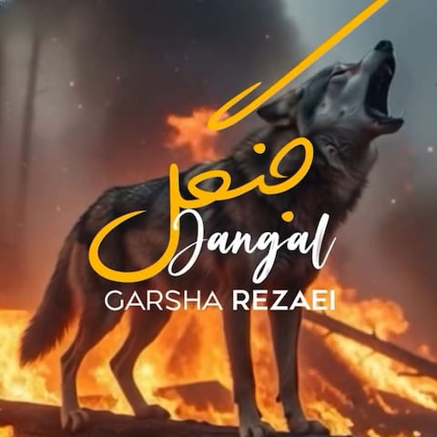 آهنگ گرشا رضایی جنگل