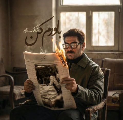 آهنگ رضا ملک زاده باورم کن