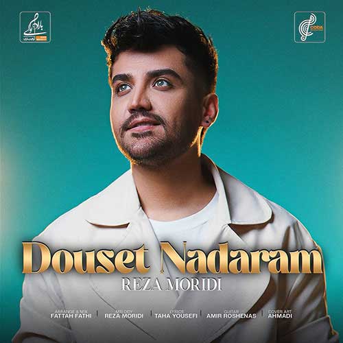 آهنگ رضا مریدی دوست ندارم