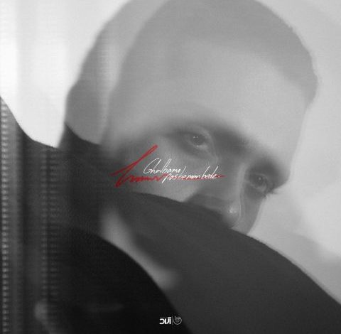 آهنگ حامیم قلبمو پس به من بده