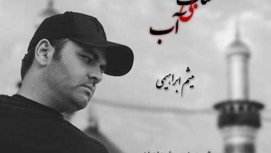 دانلود آهنگ جدید میثم ابراهیمی به نام مشک بی آب